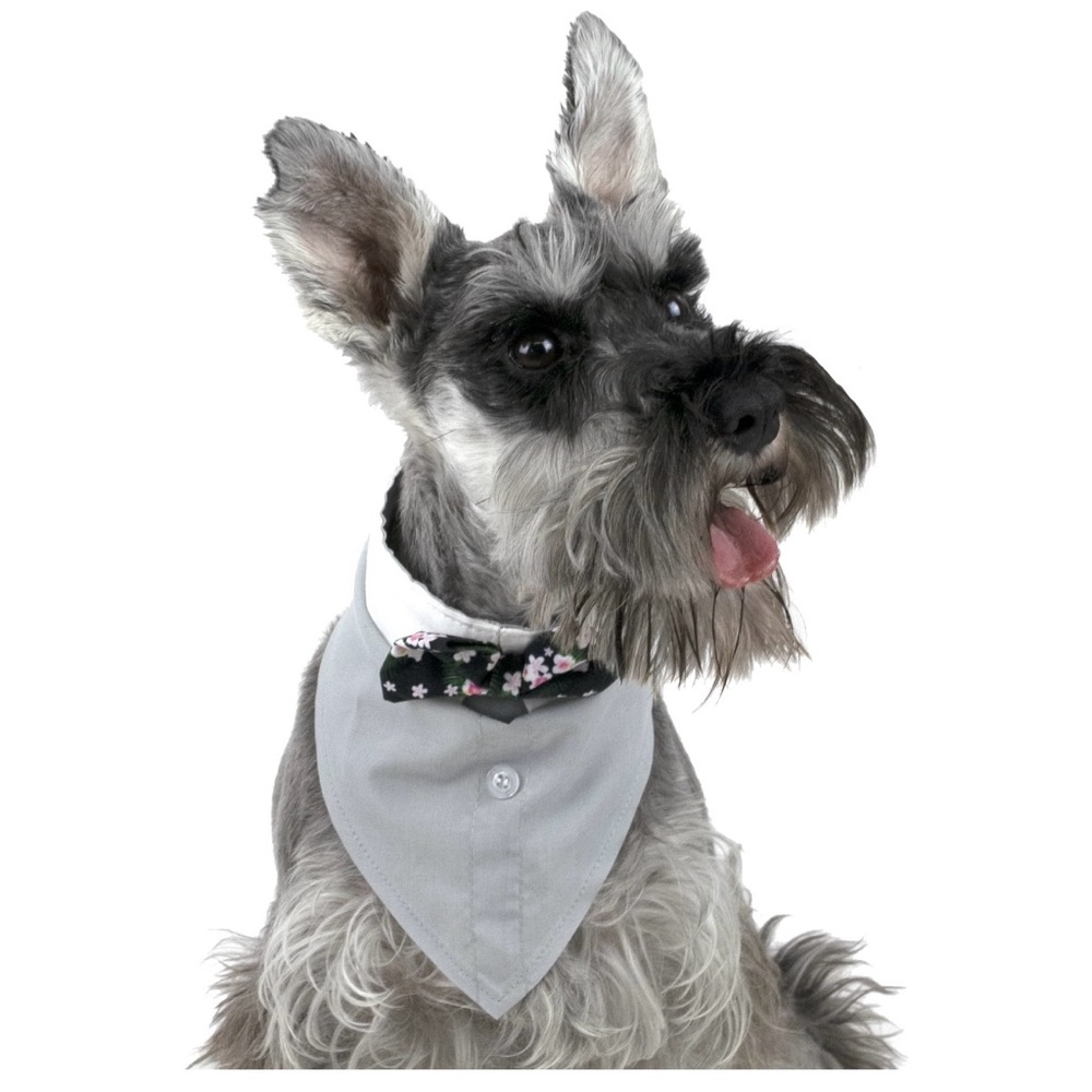NWT Vibrant Life Tuxedo Style Dog Bandana Floral Bowtie,XS/S and M/L